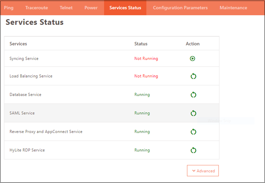 image-20231206124847393